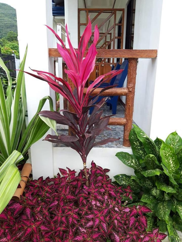 Bella Vita Guest House Coron Buitenkant foto